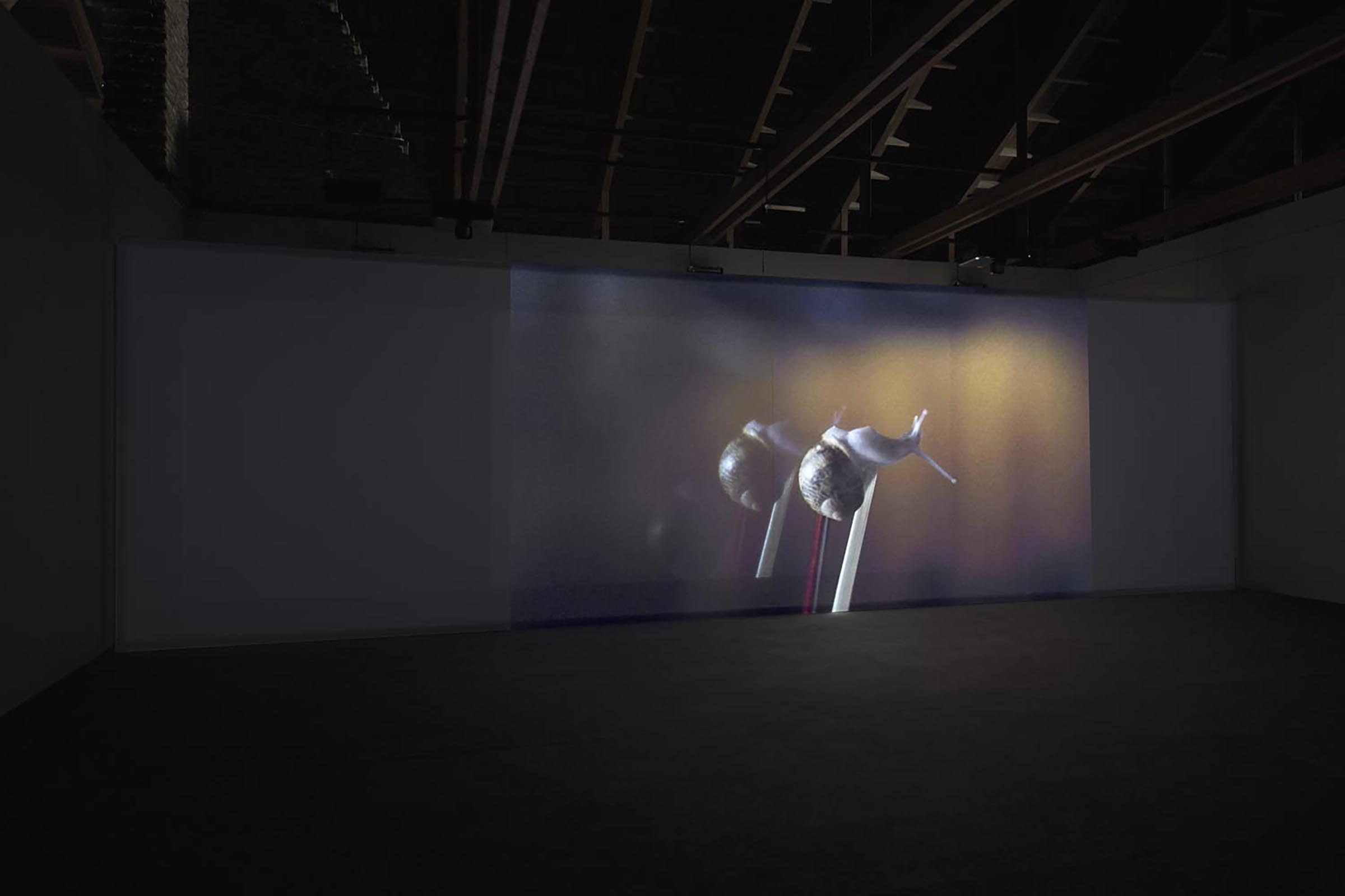 Anri Sala, If and only if, 2018